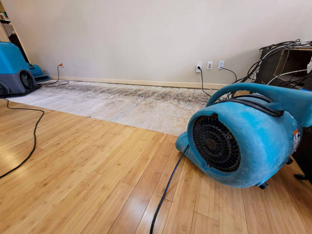 Professional Structural Drying technician working in Dover, OH